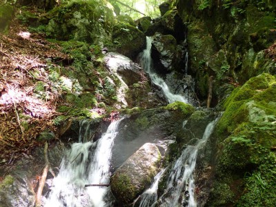 P7240120.jpg (128 KiB) 閲覧された回数 1616 回 上部の蓮瀑帯1