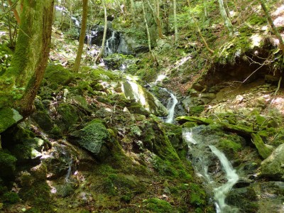 P7240138.jpg (138.2 KiB) 閲覧された回数 1603 回 上部の蓮瀑帯2