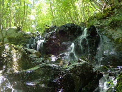 P7240159.jpg (126.53 KiB) 閲覧された回数 1616 回 最上部の滝