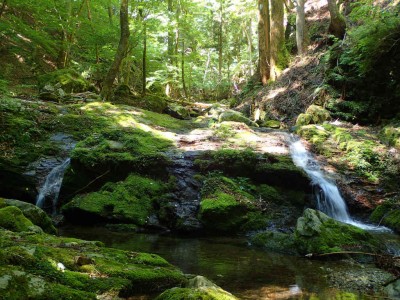 P7300043.jpg (122.38 KiB) 閲覧された回数 4170 回 地蔵谷