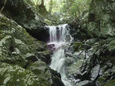 P8060048.jpg (85.31 KiB) 閲覧された回数 6934 回 第一連瀑帯