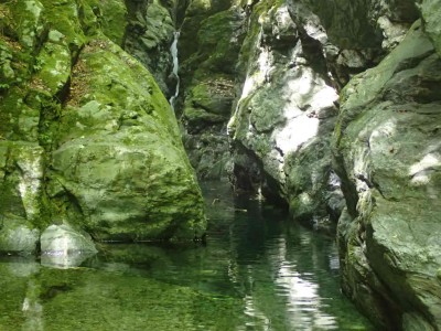 P8210128.jpg (89.16 KiB) 閲覧された回数 19432 回 木梶ゴルジュ