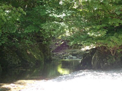 P8210184.jpg (85.52 KiB) 閲覧された回数 19432 回 廃林道付近の癒しの渓相