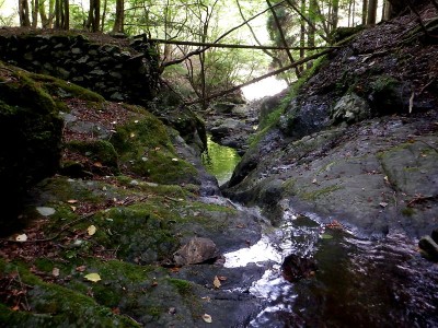 木梶直登谷出合の丸木橋石積み