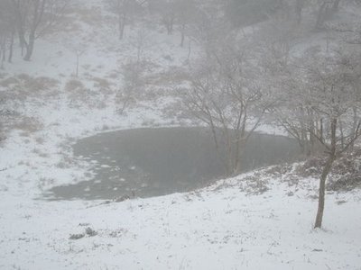 可愛いハートの池