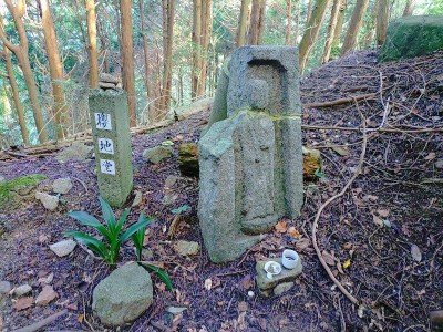 2025-09-16_08-08-57~2.jpg (245.93 KiB) 閲覧された回数 18458 回 櫻地堂