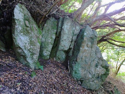 2025-09-16_08-43-32~2.jpg (222.02 KiB) 閲覧された回数 18469 回 さいの河原地堂