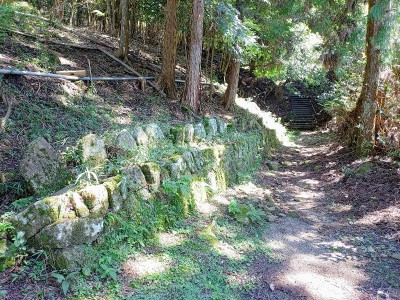 2025-09-16_11-37-31~2.jpg (268.39 KiB) 閲覧された回数 18458 回 参道入口直ぐの石仏群