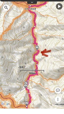 コクイ谷　熊遭遇場所（矢印）