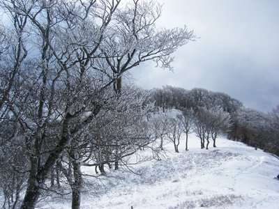 2.jpg (270.2 KiB) 閲覧された回数 12147 回 尾根の光景