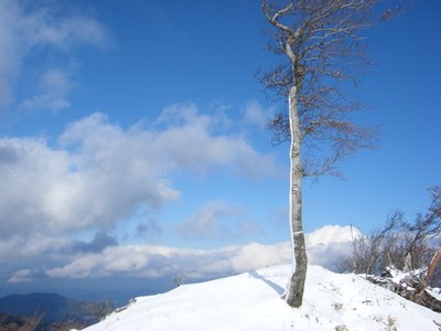 3.jpg (132.56 KiB) 閲覧された回数 12145 回 時折顔を覗かせた晴れ間