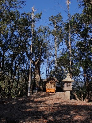里の阿曽浦浅間さん