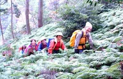 ● ウラジロの海を行く加藤先生