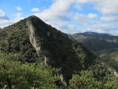 IMG_6488.jpg (162.83 KiB) 閲覧された回数 11701 回 切間の鉢