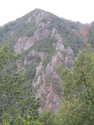 IMG_6527.jpg (186.71 KiB) 閲覧された回数 11701 回 諾炬羅山岩尾根