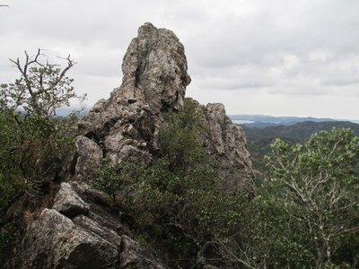 海を眺める諾炬羅像(石仏ではありません）