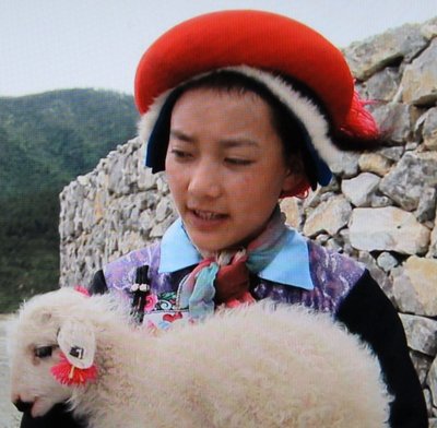 IMG_0538-s.JPG (151.75 KiB) 閲覧された回数 5601 回 TVを写すときもブレ注意だね シャングリラの美少女(昨日のNHKBSより)