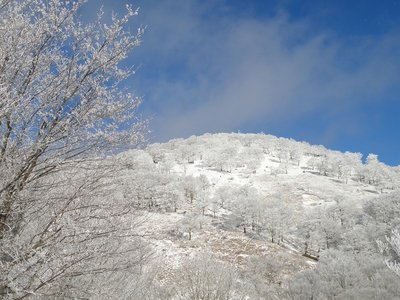 青空に輝く樹氷、奥峰