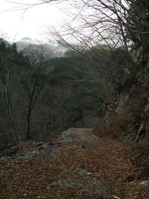 千秋林道と檜塚