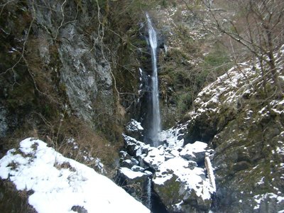 DSCF8461.JPG (266.38 KiB) 閲覧された回数 14632 回 本日の高滝