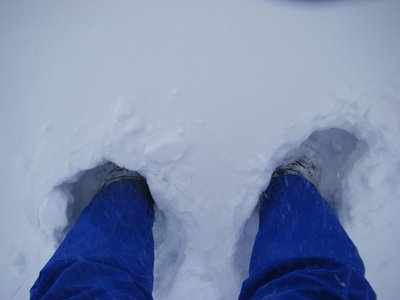 DSCF8491.jpg (85.06 KiB) 閲覧された回数 5292 回 今一歩の積雪@明神平。