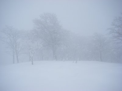 DSCF8490.jpg (66.71 KiB) 閲覧された回数 5292 回 明神平の風雪はキツかった~。