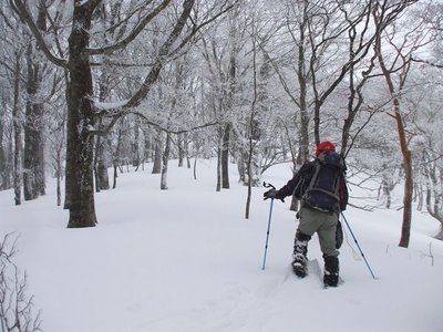 スノーシュー　TW１.jpg