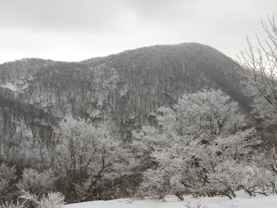 頭陀ヶ平からの藤原岳