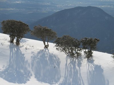 影がのび～る、まが～る