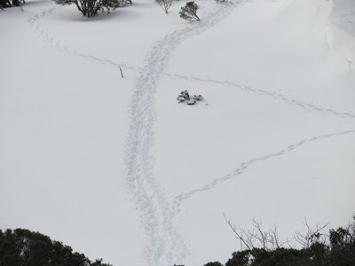 IMG_7044.jpg (109.35 KiB) 閲覧された回数 12335 回 外れてるのは私のトレース