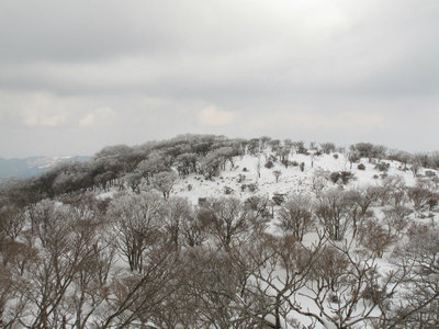 IMG_4689.jpg (283.48 KiB) 閲覧された回数 7402 回 テーブルランド