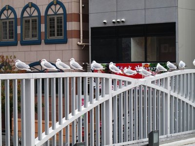 おまえらタコ焼欲しんかい？