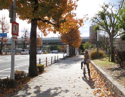 IMG_0572-s.JPG (296.54 KiB) 閲覧された回数 4097 回 大阪城からNHKの前まできたら、ほ~ら秋の景色や~