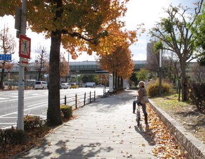 大阪城からＮＨＫの前まできたら、ほ～ら秋の景色や～