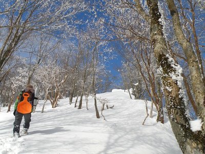 ８日、檜塚手前にて。