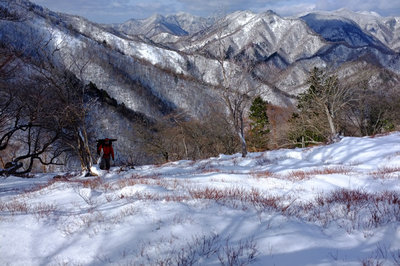 年末、霧氷は付かず・・・
