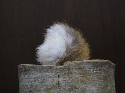 うさぎ汁にして食べてしまったウサちゃんのボンボン・・・合掌