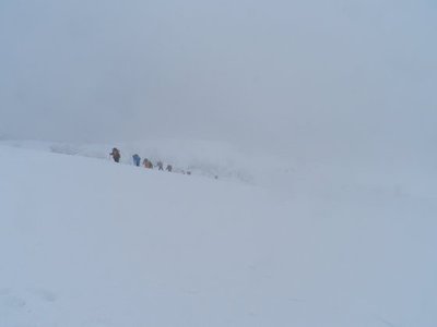 のぶりんがラッセル