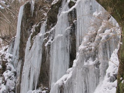 つららたっぷり食べてね。