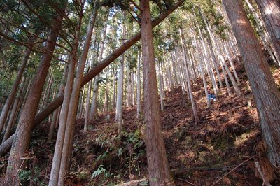 1.jpg (487.27 KiB) 閲覧された回数 2814 回 1.jpg