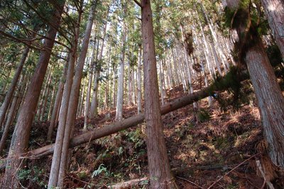 2.jpg (479.92 KiB) 閲覧された回数 2816 回 2.jpg