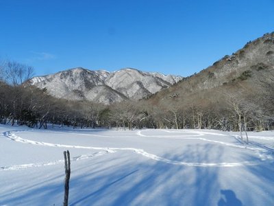 1.JPG (57.4 KiB) 閲覧された回数 9528 回 ハートがふたつ