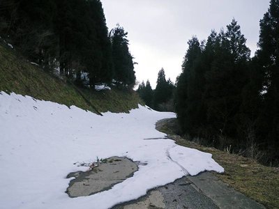 雪に埋もれた林道