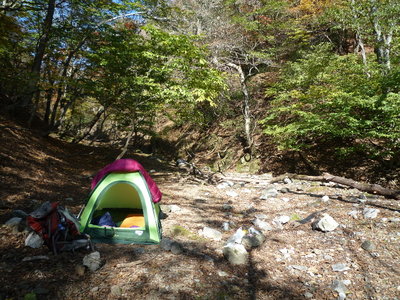 10 11 06_3921(1).JPG