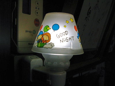 〇 100ｖ×0.2ｗ けっこう明るいよ