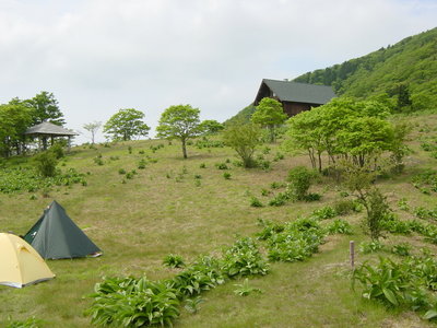 無雪期.JPG (585.67 KiB) 閲覧された回数 23923 回 無雪期の明神平