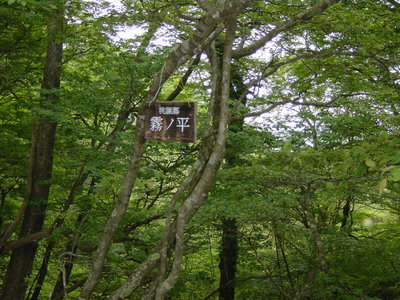 09 05 24_1175(1).JPG