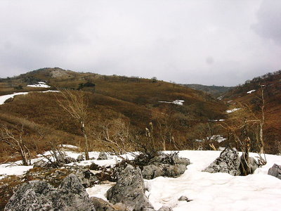 山頂平.JPG (156.85 KiB) 閲覧された回数 4529 回 〇 霊仙山 山頂平