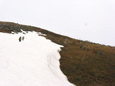 ヤブと雪.JPG (80.38 KiB) 閲覧された回数 4492 回 〇 ヤブと雪面を登る仲間、どちらがカシコイかな(^^)