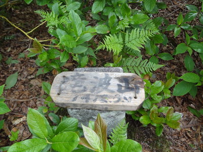 DSC00636.JPG (164.87 KiB) 閲覧された回数 3536 回 滝波山 三角点